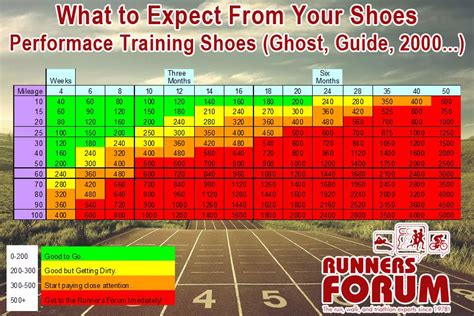 running shoes life expectancy chart.